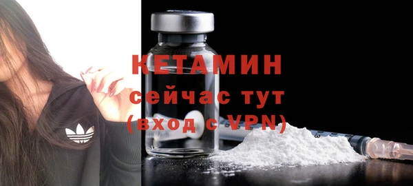 сатива Богородицк