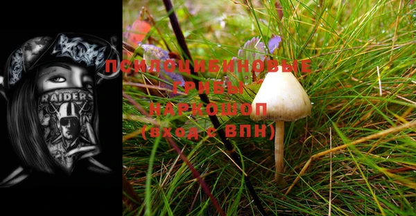 ПСИЛОЦИБИНОВЫЕ ГРИБЫ Балабаново