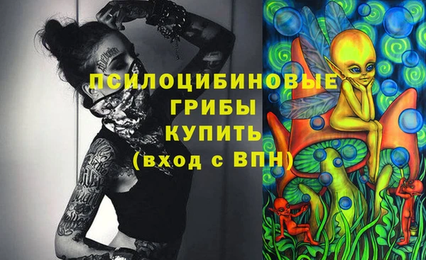 ПСИЛОЦИБИНОВЫЕ ГРИБЫ Балабаново