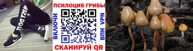 Псилоцибиновые грибы MAGIC MUSHROOMS  Кирово-Чепецк 